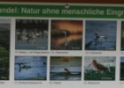VWG vogelreis Oost Duitsland mei 2010 476